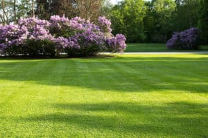 Sewer Repair in Sacramento, CA Trenchless Plumbing - Trenchless Sewer Replacement - Plumber in Sacramento, CA - Dependable Rooter & Plumbing