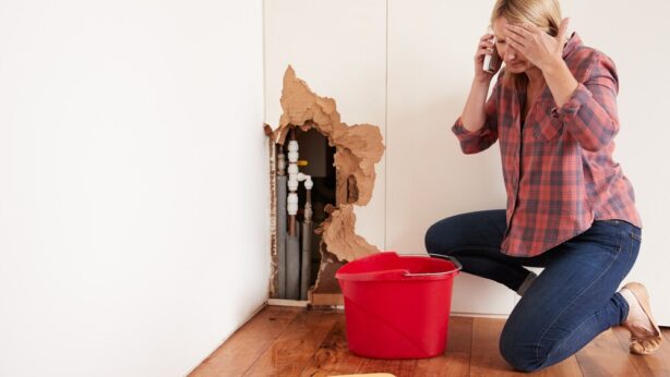 Holiday Plumbing Tips for Roseville Drains Prevent Holiday Plumbing Disasters: Tips to Keep Your Drains Flowing in Roseville | Dependable Rooter & Plumbing